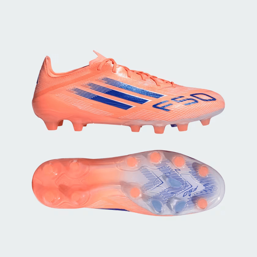 F50 ELITE HG