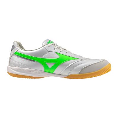 MORELIA SALA PRO IN