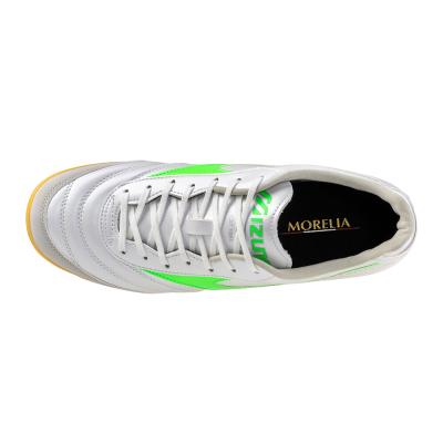 MORELIA SALA PRO IN