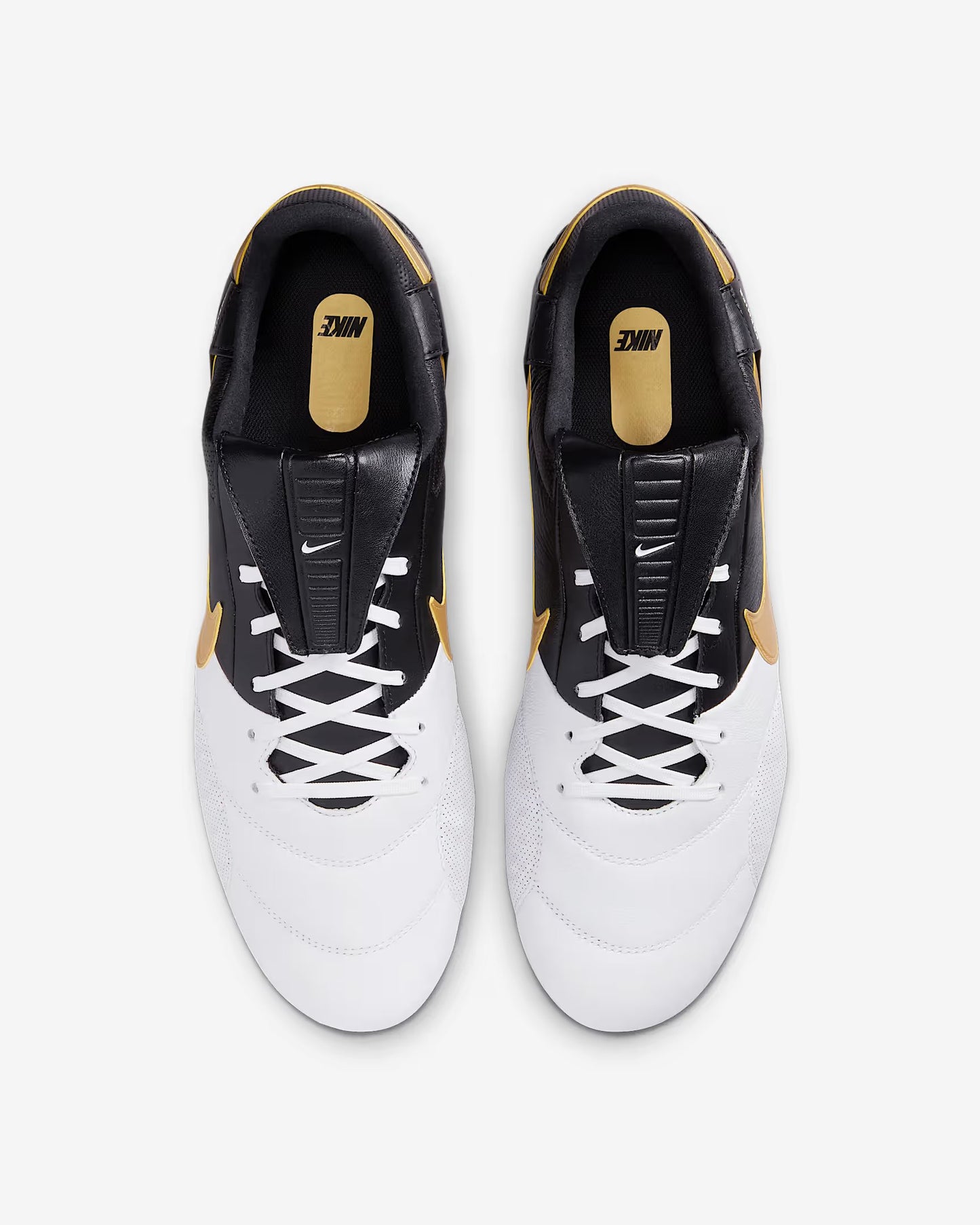 PREMIER 3 FG