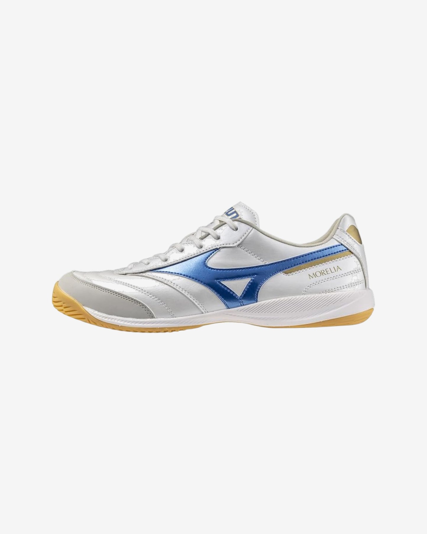 MORELIA SALA PRO IN