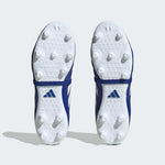 COPA GLORO FG