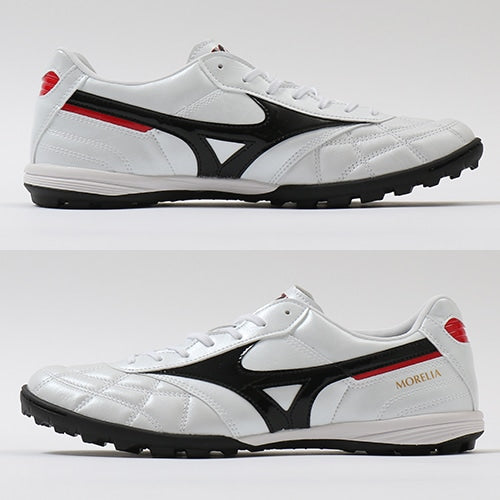 MORELIA TF