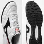 MORELIA TF