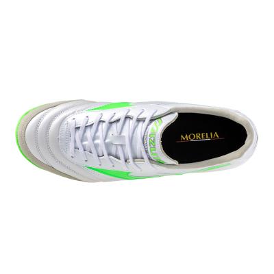 MORELIA SALA ELITE TF