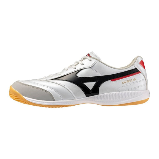 MORELIA SALA PRO IN