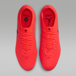 TIEMPO MAESTRO ELITE FG SE