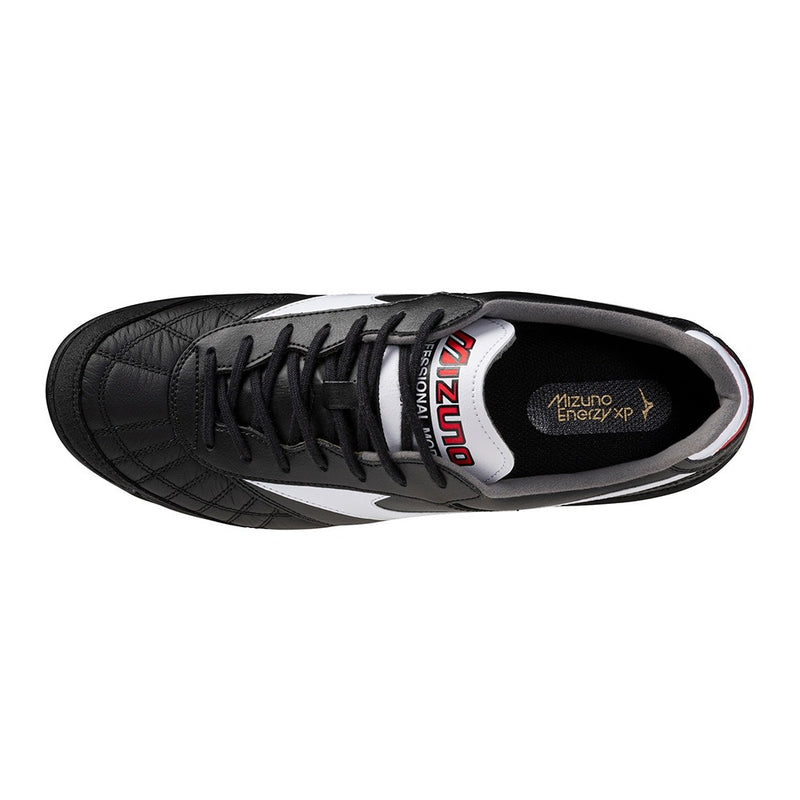 MORELIA SALA JAPAN TF M8