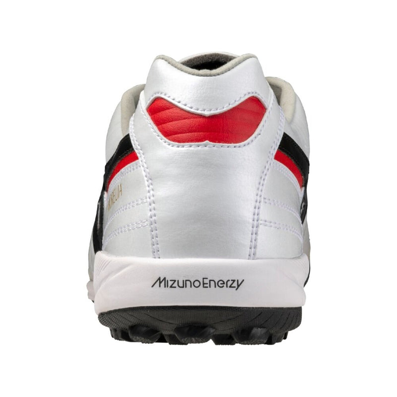MORELIA SALA JAPAN TF M8