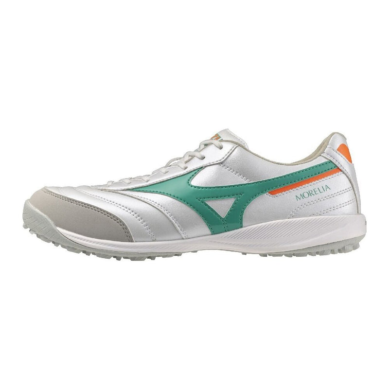 MORELIA SALA PRO TF