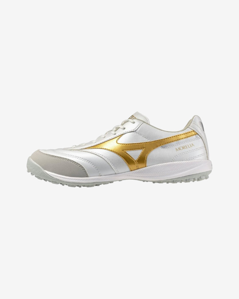 MORELIA SALA PRO TF