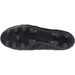 MORELIA 2 JAPAN LTD