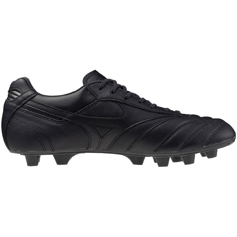 MORELIA 2 JAPAN LTD