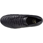 MORELIA 2 JAPAN LTD