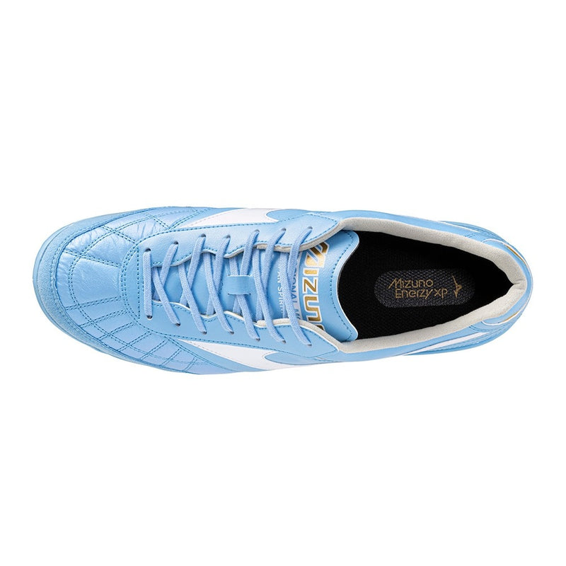 MORELIA SALA JAPAN TF M8