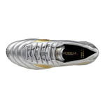 MORELIA DNA JAPAN