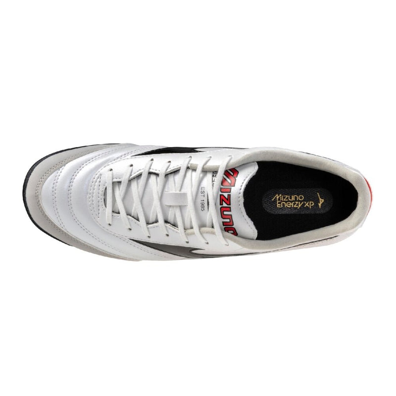 MORELIA SALA PRO TF