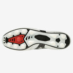 MORELIA 2 JAPAN M8