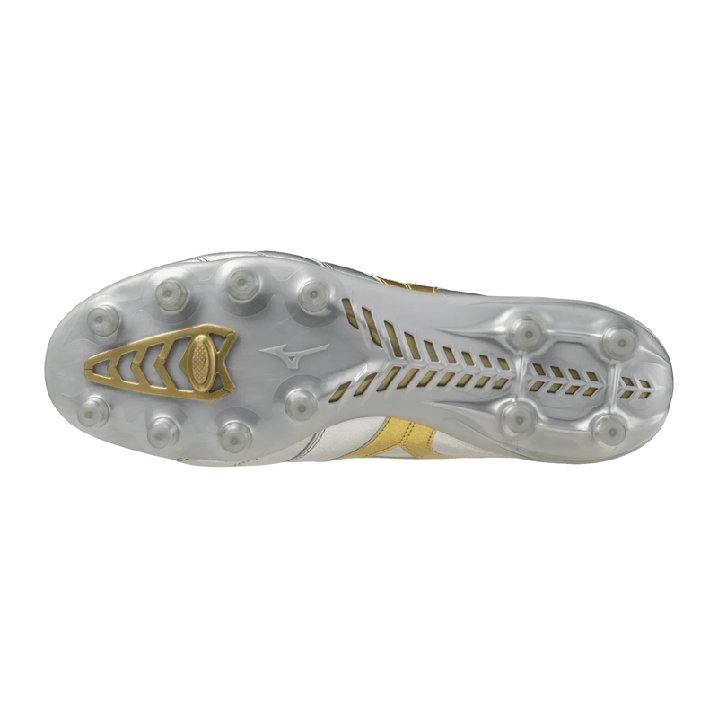 MORELIA DNA JAPAN