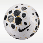 NIKE CONTROL FOOTBALL
