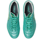 ASICS DS LIGHT PRO WIDE