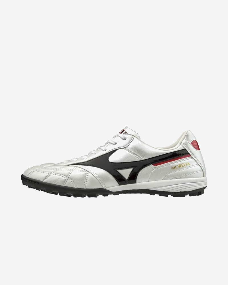MORELIA TF